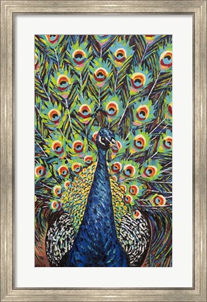 Framed Lavish Peacock II Print