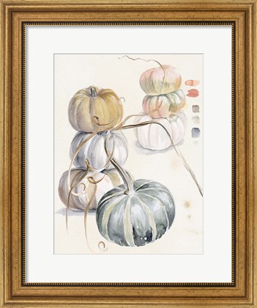 Framed Harvest Pumpkins II Print
