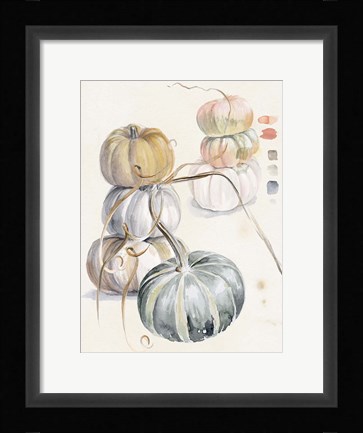 Framed Harvest Pumpkins II Print