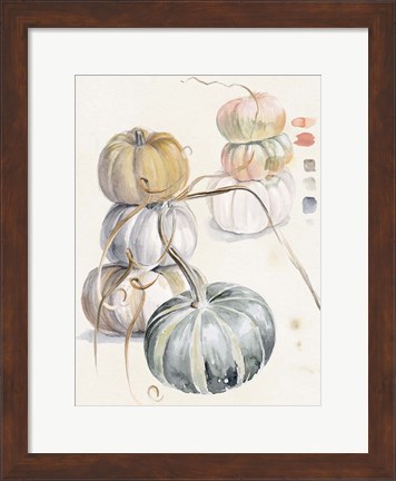 Framed Harvest Pumpkins II Print