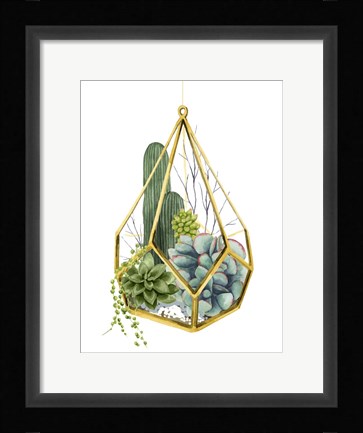 Framed Wild Terrarium IV Print