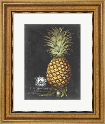 Framed Royal Brookshaw Pineapple I Print