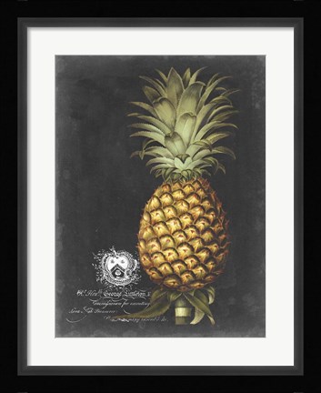 Framed Royal Brookshaw Pineapple I Print