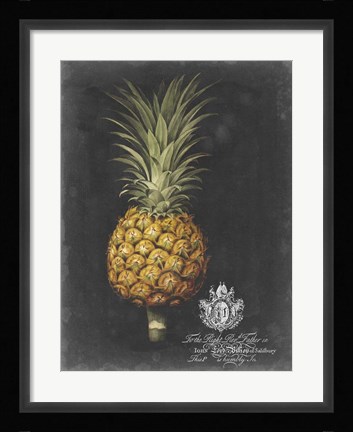 Framed Royal Brookshaw Pineapple II Print