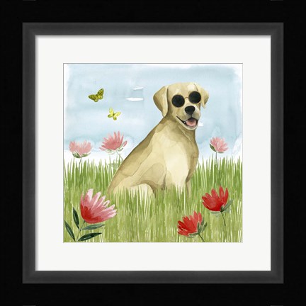 Framed Park Pup II Print