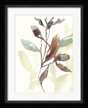 Framed Rusty Sienna Leaves I Print