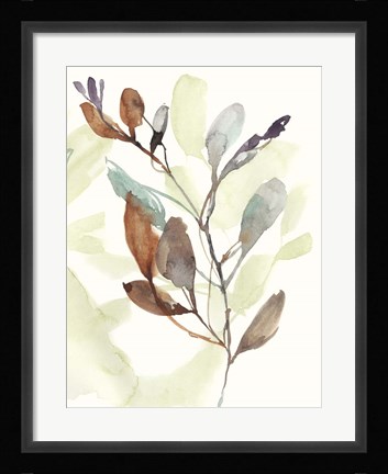 Framed Rusty Sienna Leaves II Print