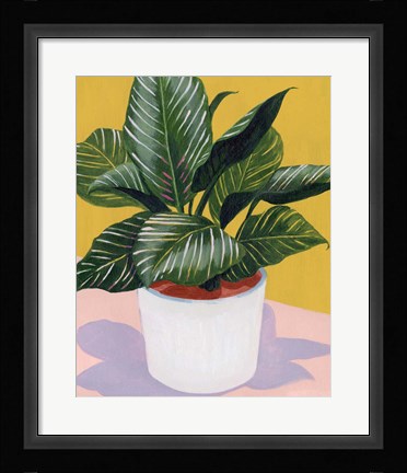 Framed Calethea II Print