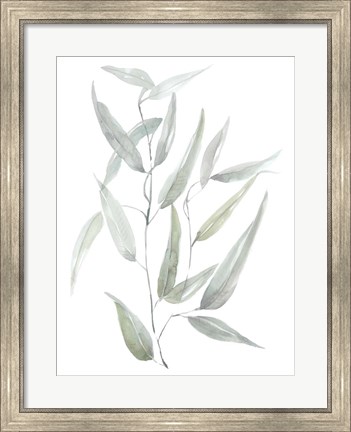 Framed Ethereal Eucalyptus I Print