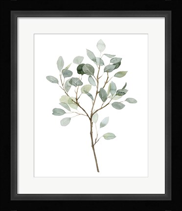Framed Seaglass Eucalyptus II Print