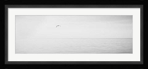 Framed Black &amp; White Water Panel XVI Print