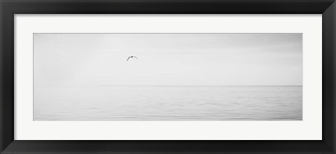 Framed Black &amp; White Water Panel XVI Print
