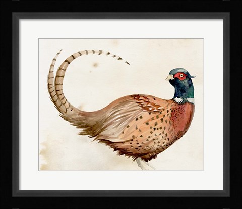 Framed Pheasantry I Print