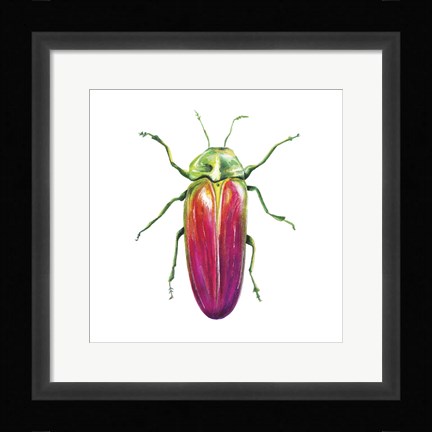 Framed Buggin Out II Print