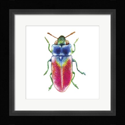 Framed Buggin Out III Print