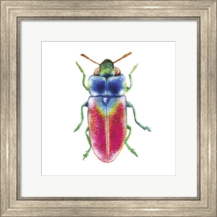 Framed Buggin Out III Print