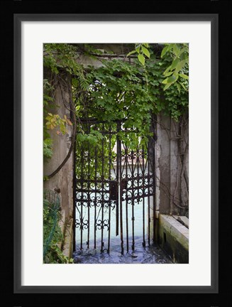 Framed Elegant Canal Entrance Print