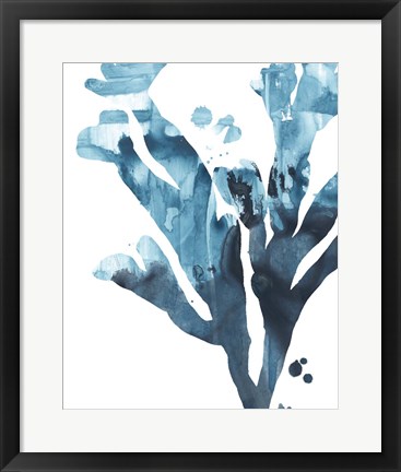Framed Inkwash Kelp II Print
