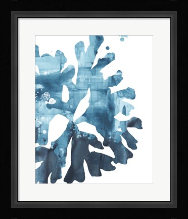 Framed Inkwash Kelp III Print