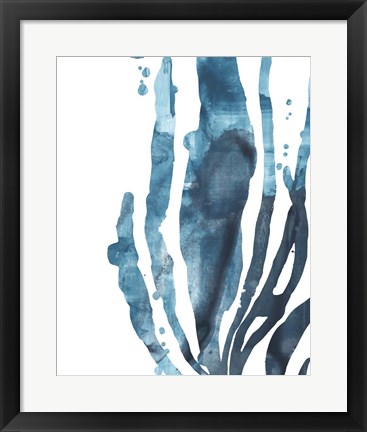 Framed Inkwash Kelp IV Print