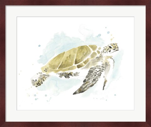 Framed Watercolor Sea Turtle Study I Print