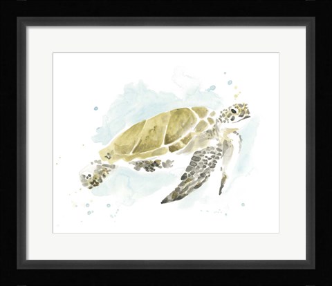 Framed Watercolor Sea Turtle Study I Print
