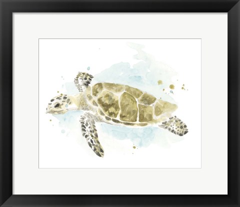 Framed Watercolor Sea Turtle Study II Print