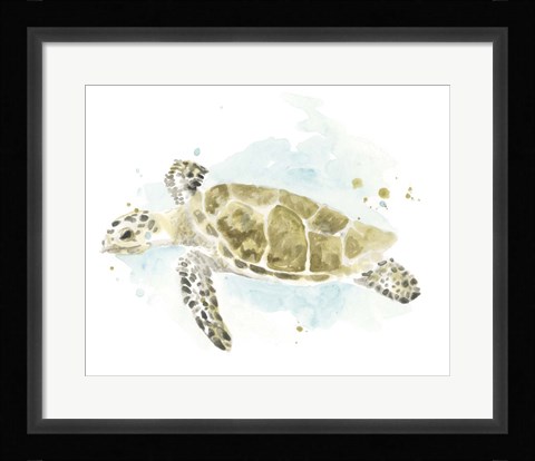 Framed Watercolor Sea Turtle Study II Print