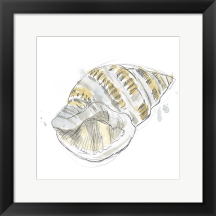 Framed Citron Shell Sketch I Print