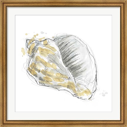 Framed Citron Shell Sketch III Print