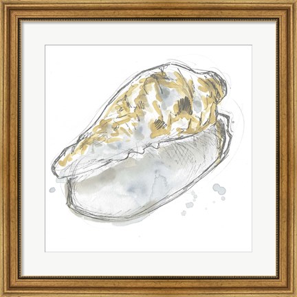 Framed Citron Shell Sketch IV Print