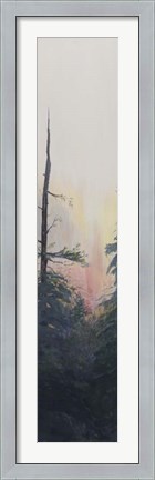 Framed Pacific Northwest Panel V Print