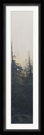 Framed Pacific Northwest Panel VI Print