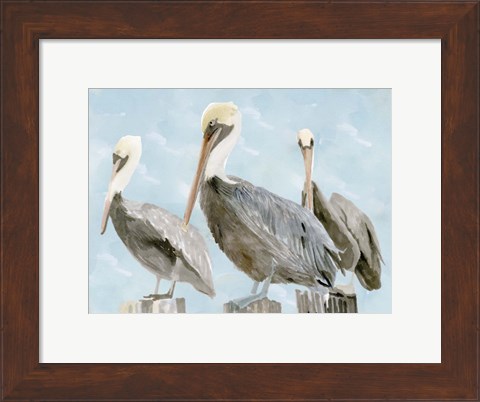 Framed Soft Brown Pelican III Print