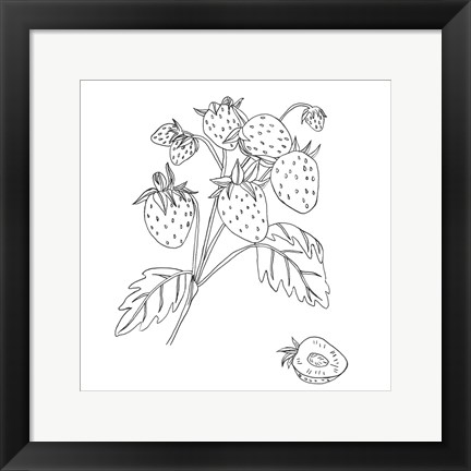 Framed Wild Strawberries II Print