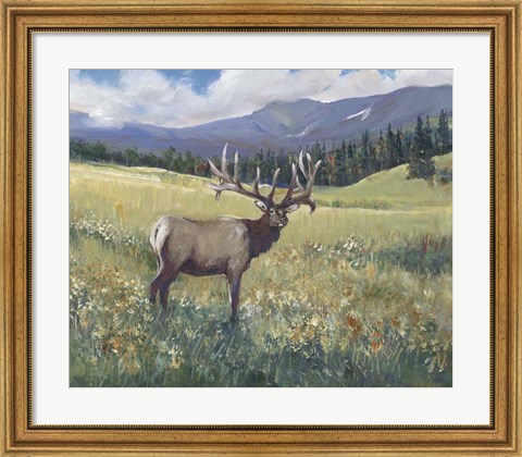 Framed Rocky Mountain Elk I Print