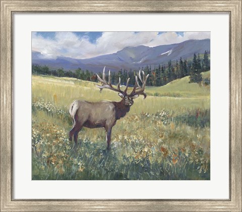 Framed Rocky Mountain Elk I Print