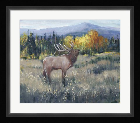 Framed Rocky Mountain Elk II Print