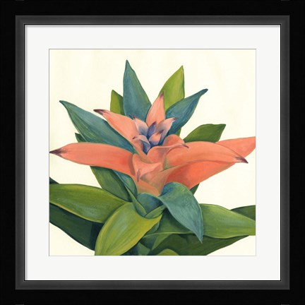 Framed Tropical IV Print
