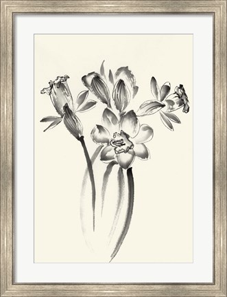Framed Ink Wash Floral I - Daffodils Print