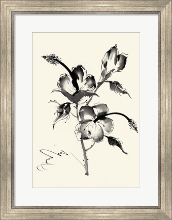 Framed Ink Wash Floral III - Hibiscus Print