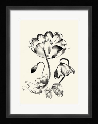 Framed Ink Wash Floral IV - Poppy Print