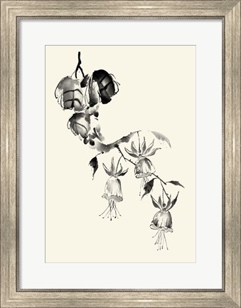 Framed Ink Wash Floral VIII - Fuchsia Print