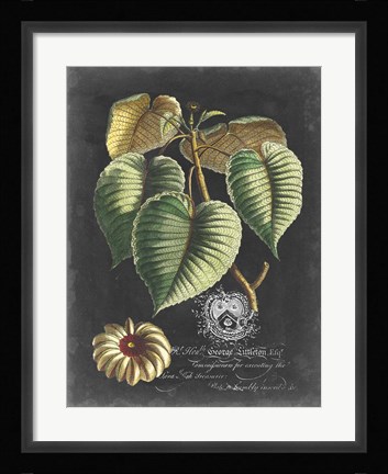 Framed Royal Foliage I Print