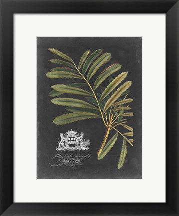 Framed Royal Foliage II Print
