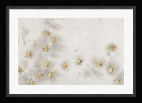 Framed Spangled Grey I Print