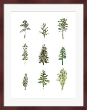 Framed Collected Pines I Print