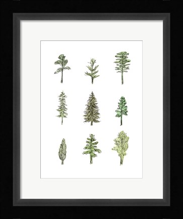 Framed Collected Pines I Print