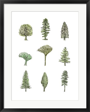 Framed Collected Pines II Print