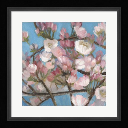 Framed Cherry Blossoms I Print